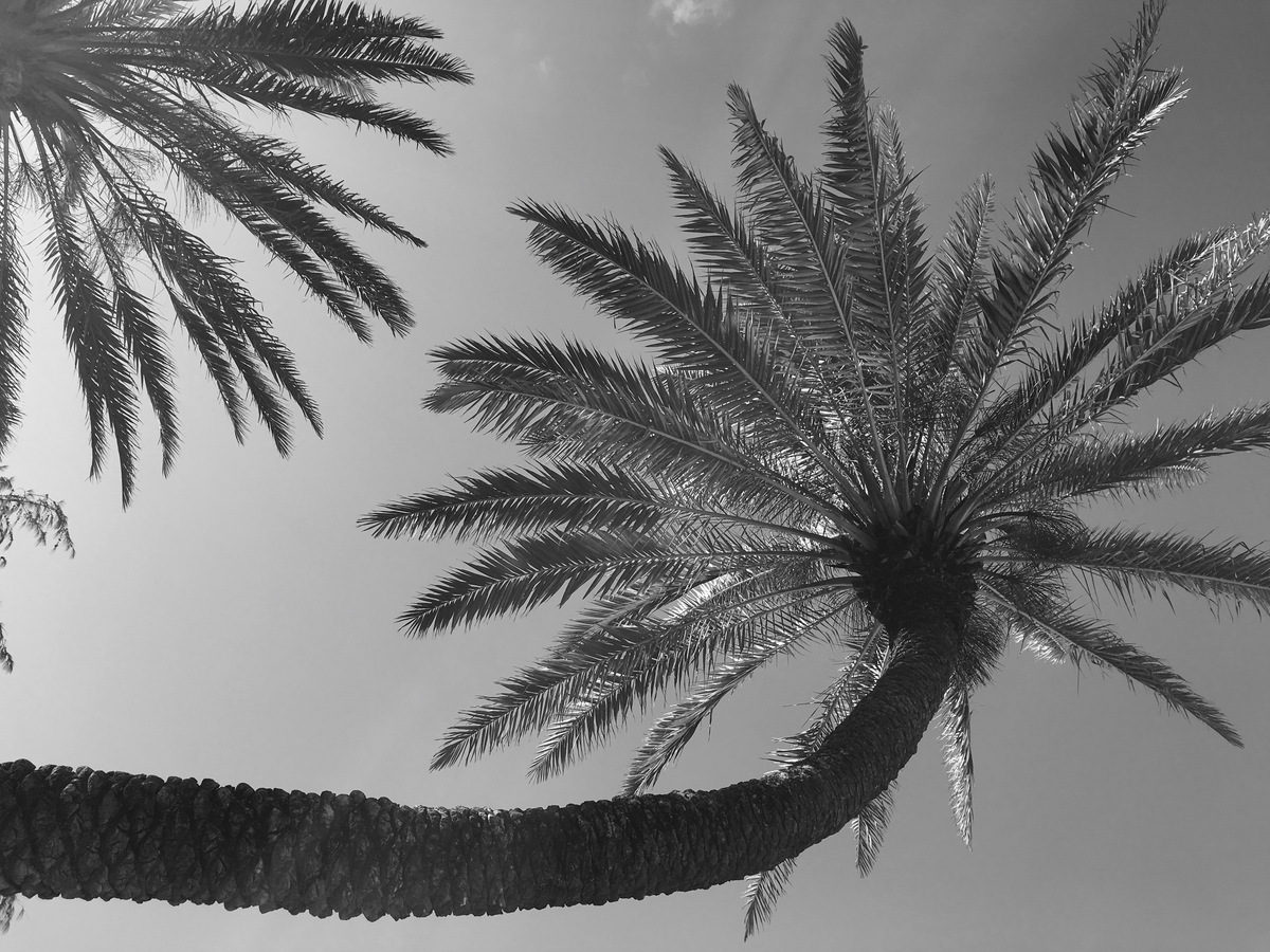 header